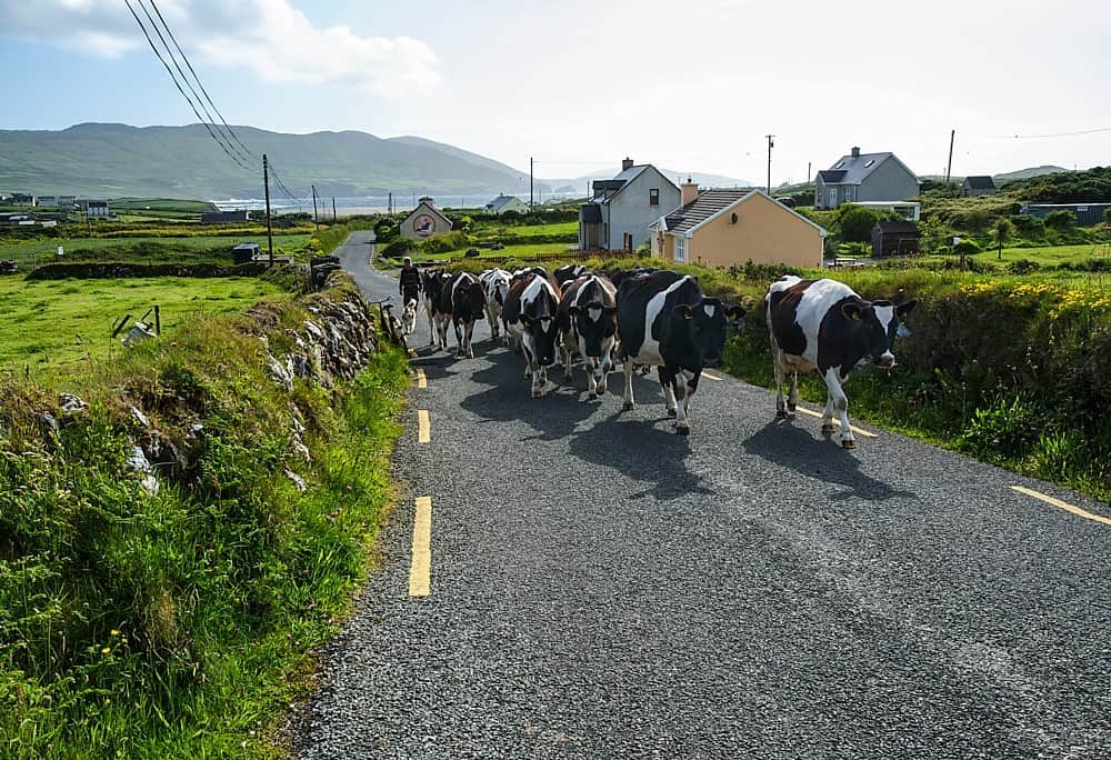 Ballydonegan