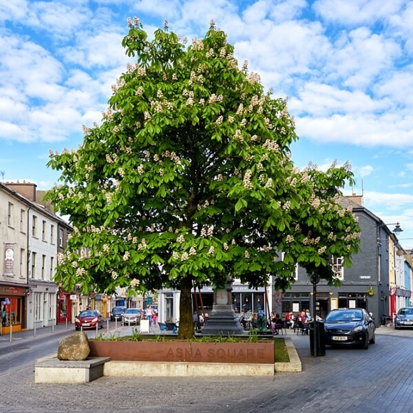 Clonakilty