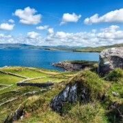 Hogs Head