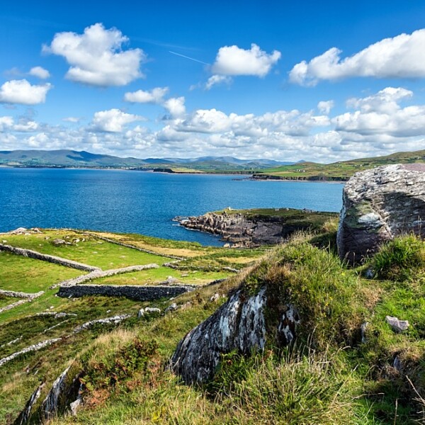 Hogs Head
