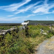 Inishmore