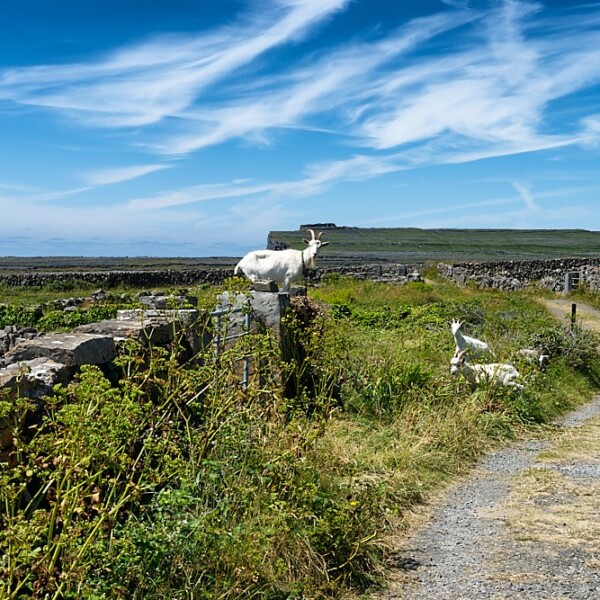Inishmore