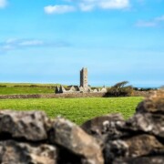 Moyne Abbey