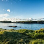Rabbit Island
